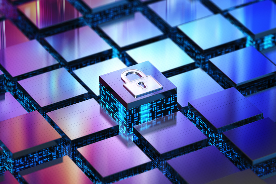 Ciberseguridad en el mundo de las criptomonedas: prevención de la delincuencia en el espacio digital